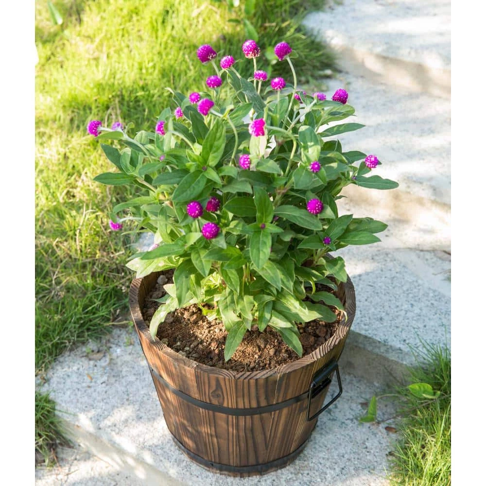 Gardenised Small Wooden Whiskey Barrel Planter, 12 in. Dia 10 in. High - Image 6