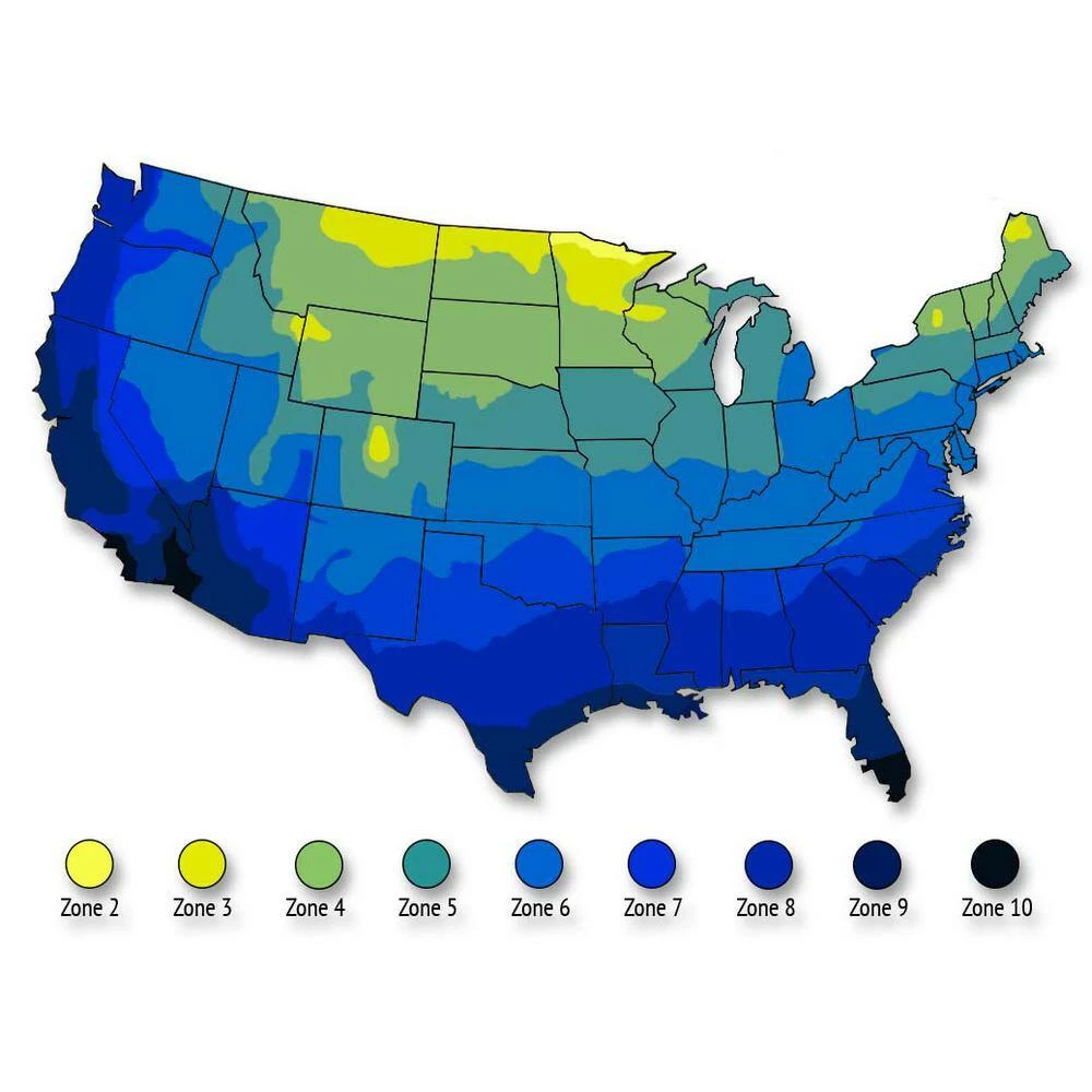 BLOOMIN' EASY 2 Gal. Flare Hardy Hydrangea (Paniculata) Live Shrub, White and Bright Red-Pink Flowers - Image 8