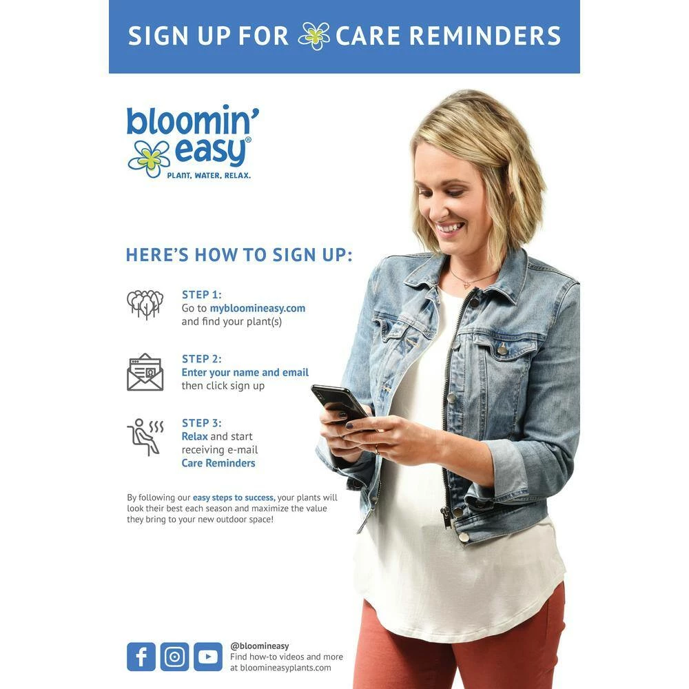 BLOOMIN' EASY 2 Gal. Thunderbolt Box Honeysuckle (Lonicera) Live Shrub - Image 8