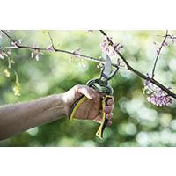 Melnor Pro Forged Bypass Pruner - Image 5
