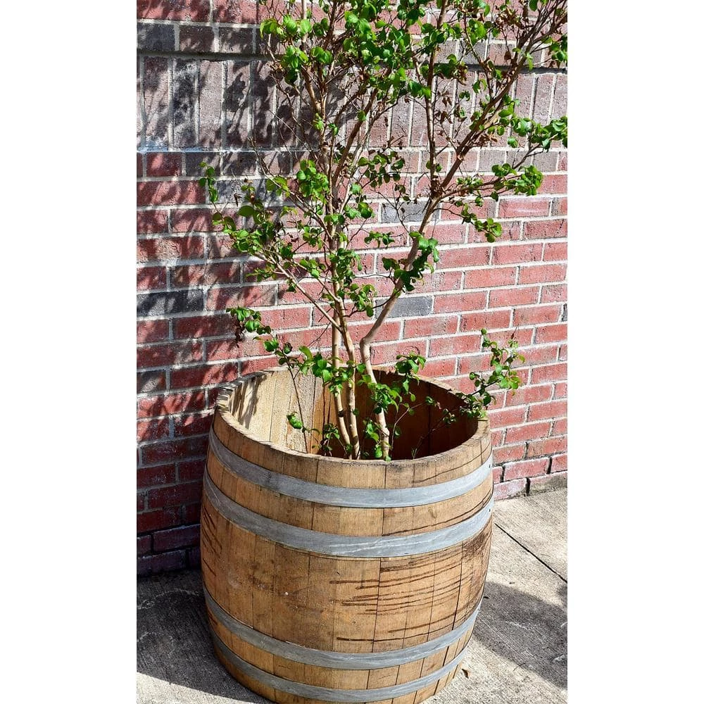 MGP 27 in. W 28 in. H Tall Wine Barrel Planter - Image 2