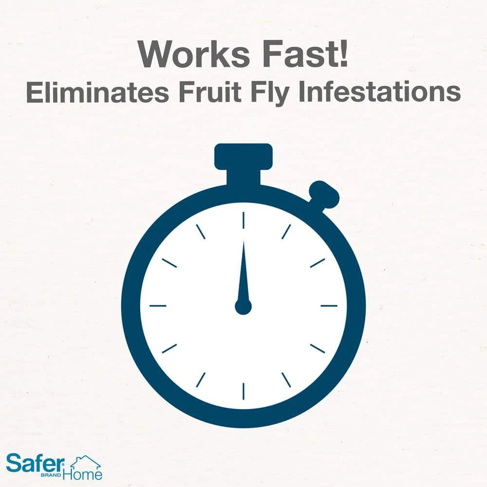 Safer Brand Safer Home Indoor Fruit Fly Trap 2-Traps - Image 6