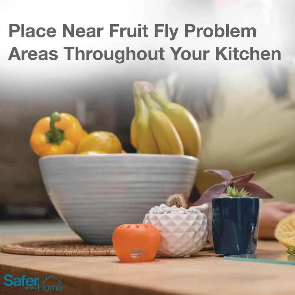 Safer Brand Safer Home Indoor Fruit Fly Trap 2-Traps - Image 8