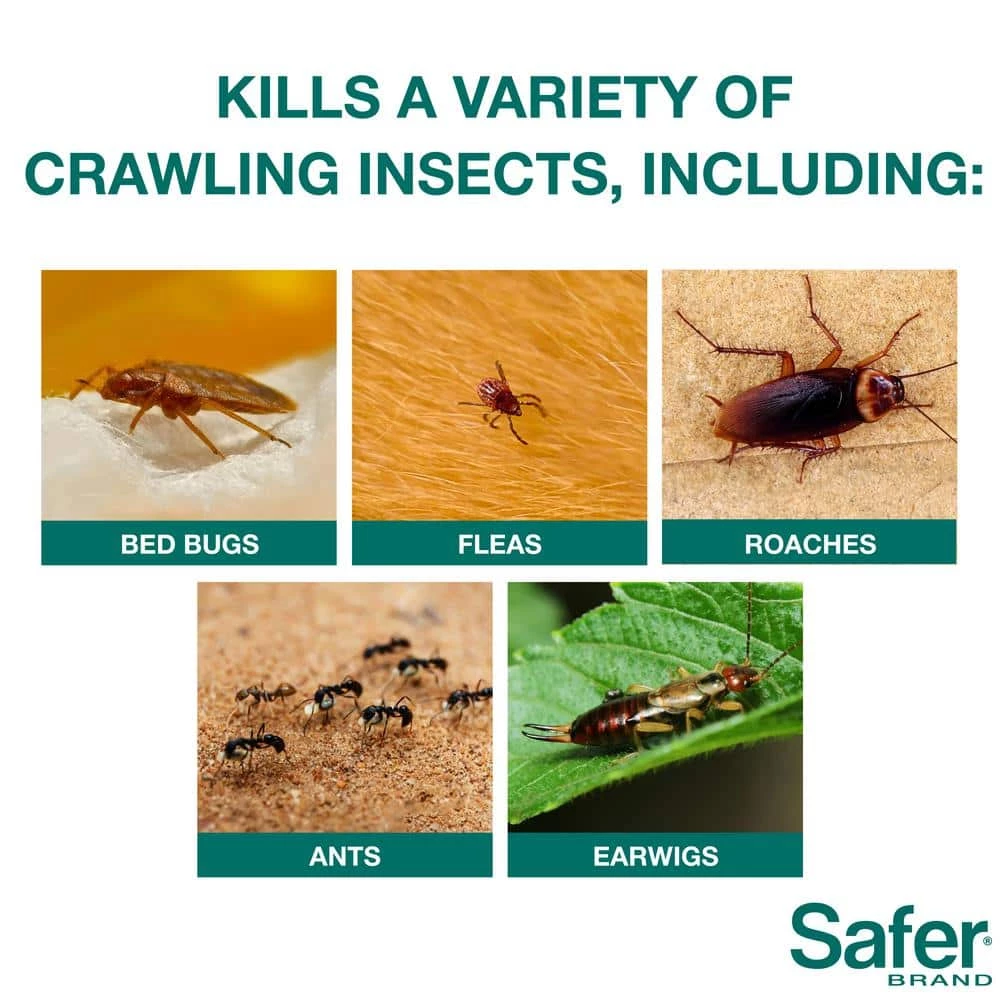 Safer Brand 4 lb. Diatomaceous Earth - Bed Bug, Flea, Ant, Crawling Insect Killer for Indoor and Outdoor - Image 2