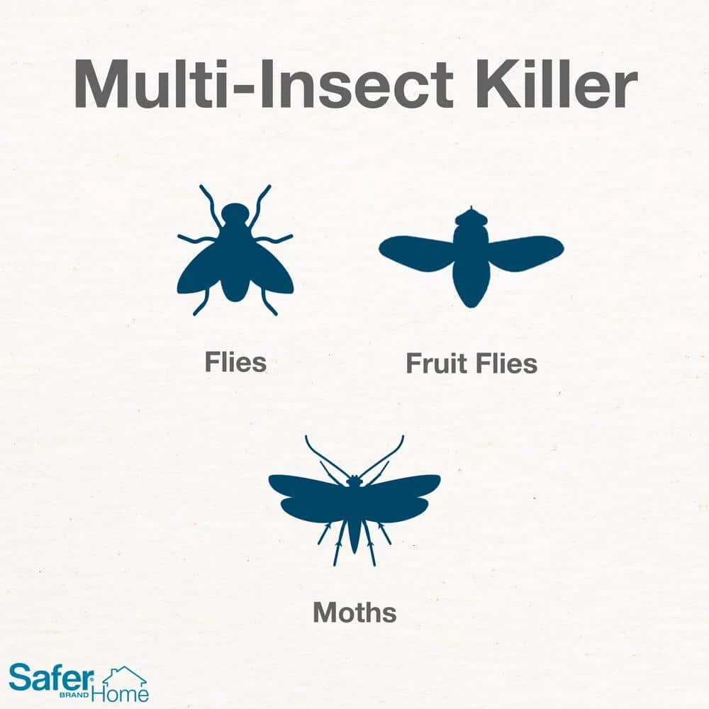 Safer Brand Safer Home Indoor Fly Trap Refill Glue Cards - Image 2